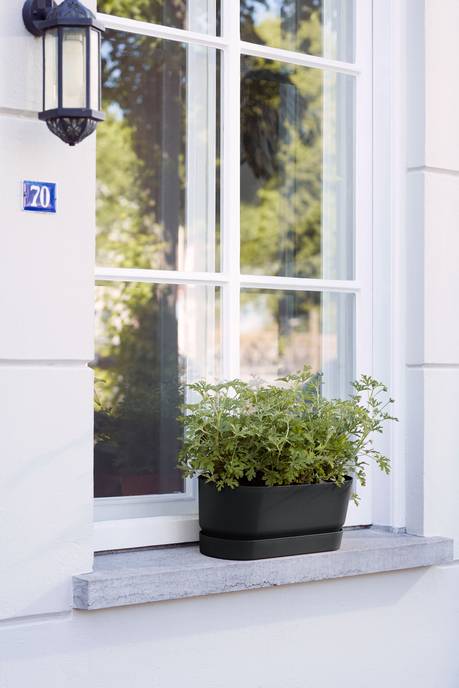 greenville trough long 50cm living black